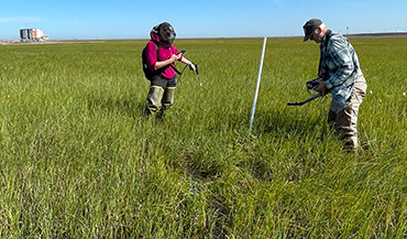 Cover image of researchers taking NDVI and LAI measurements at a vegetation plot at the NIRPO study site